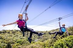Waiheke Experience